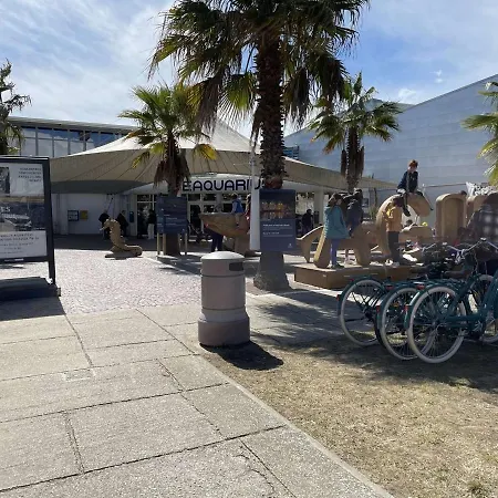 2 Pieces Avec Loggia Et Piscine A 100m De La - - Fr-1-250-250 דירה לה-גרו-דו-רואה
